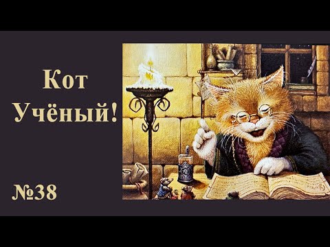 Видео: #38 "Кот учёный" Алмазная ВЫШИВКА для души!