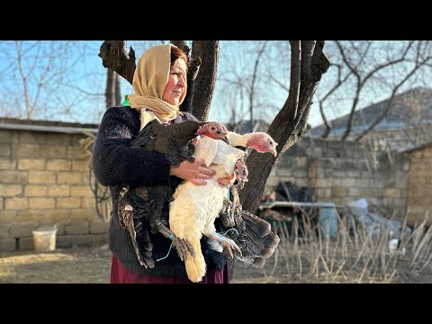 Видео: Turkey Kebab. Шашлык из Индейки. Hinduşka Kababı.