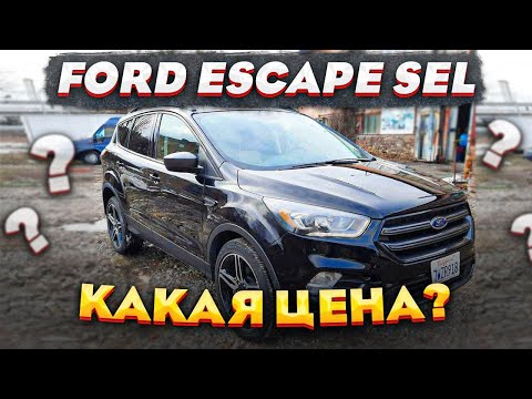 Видео: Ford Escape SEL итоговая цена авто под ключ