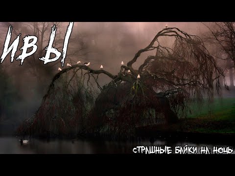 Видео: Ивы / Страшные истории