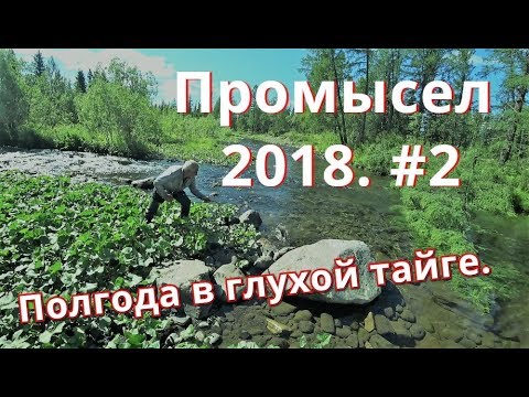 Видео: Промысел 2018. Спасаем буран, стройка века, офигенная рыбалка.