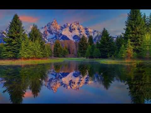 Видео: 9 Грамм Ласковый зверь Feat Alina Orlova Slowed Otik