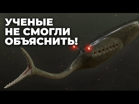 Видео: 5 странных вымерших существ, которые ставят ученых в тупик!