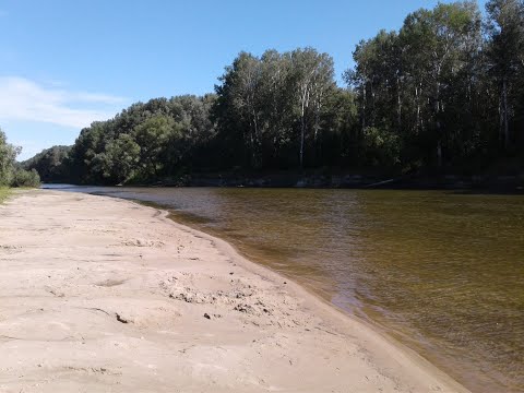 Видео: р Сейм 2019, Мутин   Батурин