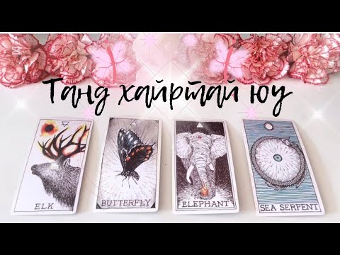 Видео: [ТАРОТ]🤍Танд хайртай юу?