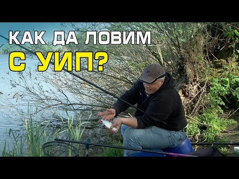 Видео: Полезни съвети за риболов на плувка с уип