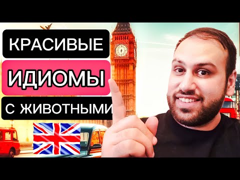 Видео: 15 идиом о животных | учить идиомы на английском языке
