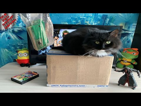 Видео: Пополнение Коллекции Сега и Денди - Игровой Анбоксинг unboxing