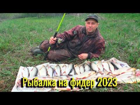 Видео: Рыбалка 2023. Ловля Язя На Фидер. Такой Рыбалки Ещё Не Было. Открываем Летний Сезон. Рыбалка В Коми!