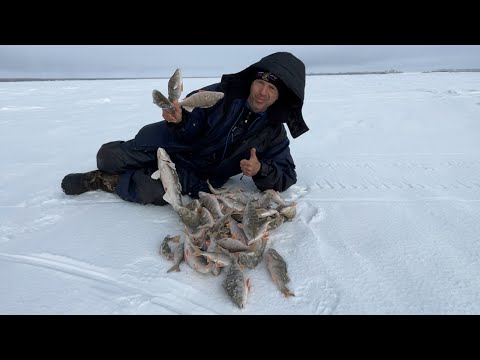 Видео: Один на льду ! Не смотря на глухозимье , рыбалка удалась !