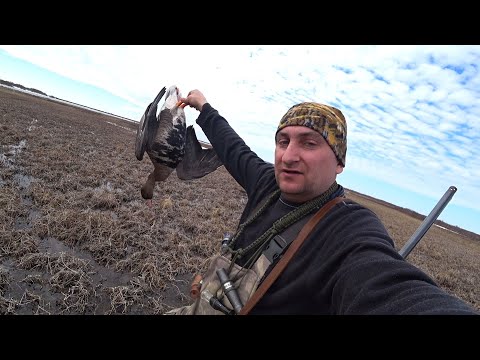 Видео: ОХОТА НА ГУСЯ И СЕЛЕЗНЯ / Весенняя охота на Крайнем Севере