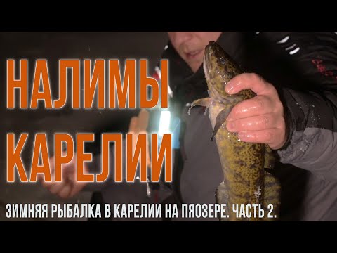 Видео: Зимняя рыбалка в Карелии на Пяозере. Часть 2. Налим.