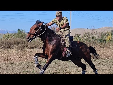 Видео: солдат минген БОЙКА