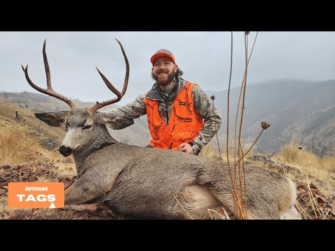 Видео: 75 ярдов! Охота на оленей-мулов в Вашингтоне с подходом и услугами гида по долине Оканоган!