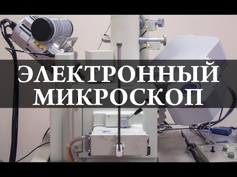Видео: Электронный микроскоп  Химия – просто