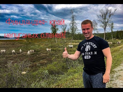 Видео: Финляндия. Взгляд изнутри. Рыбалка в северных реках.