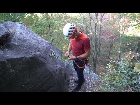 Видео: Григри нисходящий