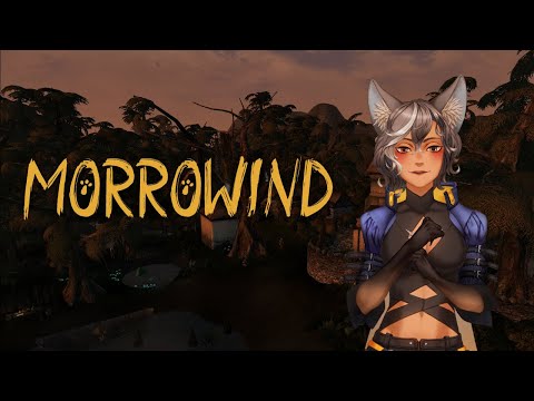 Видео: 【 Morrowind #1】 Дальше вы не пройдете пока не получите бумаги