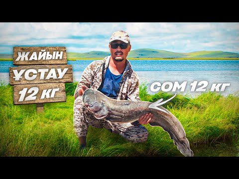 Видео: ЖАЙЫН БАЛЫҒЫН ҰСТАУ!!! ШОРТАНДАР ӨТЕ КӨП!!! ІРІ ЖЫЛАНБАЛЫҚТАР!!! ЛОВЛЯ СОМА. Catfish fishing.
