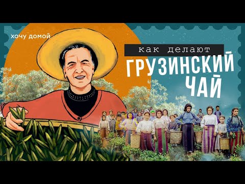 Видео: Чайная плантация в Грузии: секреты настоящего чая от бабушки