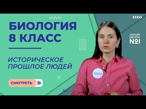 Видео: Историческое прошлое людей. Видеоурок 3. Биология 8 класс