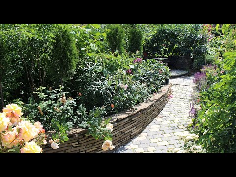 Видео: Видео журнал "СОФ №77" МАЛЕНЬКИЙ САД и его НОВОЕ ЛИЦО. ч.1