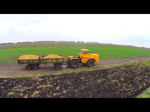 Видео: Встреча с дядей Митей на К-701, при пахоте на ХТЗ-17221 и двух Т-150К с плугами ПЛН.