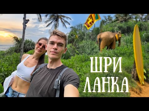 Видео: 🌴 Шри-Ланка без фильтров: серфинг, фрукты и особенный момент! 🍍🌊