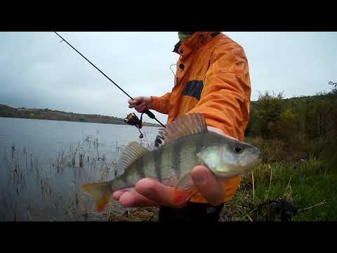 Видео: КАК ПОСТРОИТЬ РЫБАЛКУ В НОВОМ НЕЗНАКОМОМ МЕСТЕ