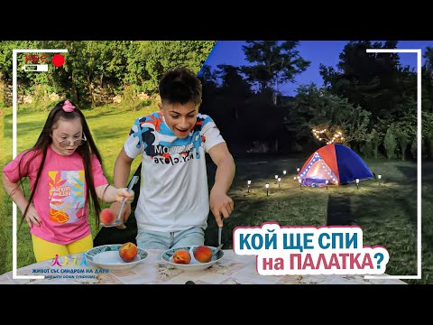 Видео: 🤣КОЙТО ИЗГУБИ ЩЕ СПИ НА ПАЛАТКА ⛺️ Живот със Синдром на Даун