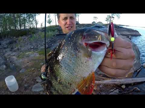 Видео: Карелия Пяозеро рыбалка 2018