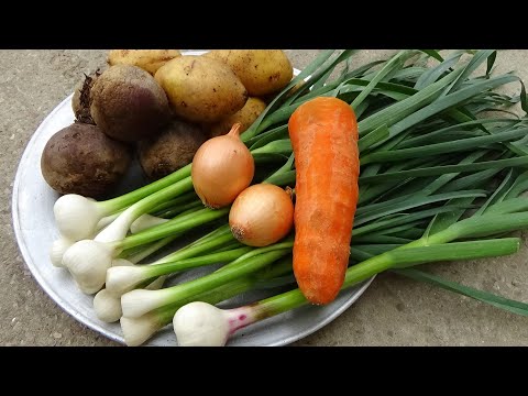 Видео: Чесночный БОРЩ это просто песня