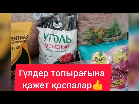 Видео: Гүлдің топырағына қосатын қажет қоспалар жайлы #топырақ