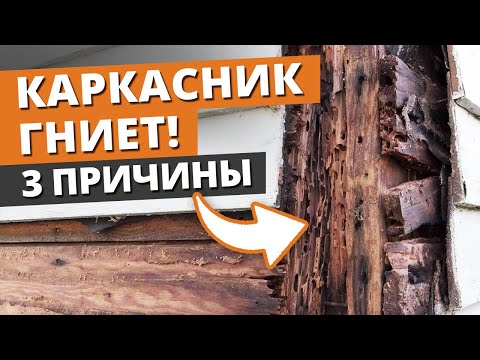 Видео: Почему ГНИЕТ каркасный дом? / Как ЗАЩИТИТЬ ДОМ от ГНИЕНИЯ на долгие годы?