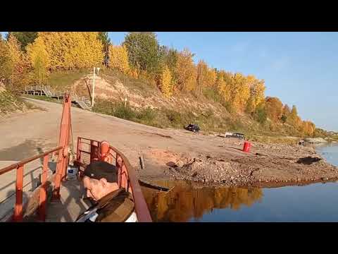 Видео: Верхняя Тойма, Зеленник