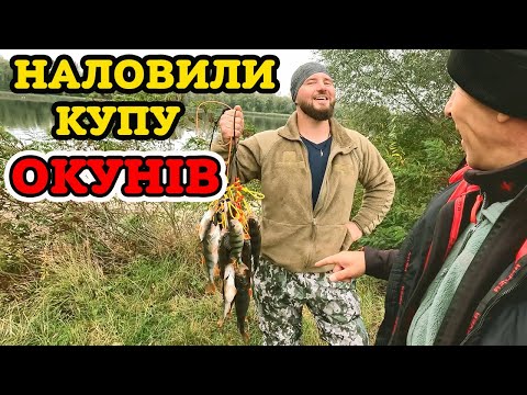 Видео: 🍁 ОСІНЬ - ЧАС ЛОВИТИ ОКУНІВ 🍁