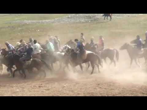 Видео: Сабкати бузкаши 26.11.2023 д.Чилдара н.Сангвор