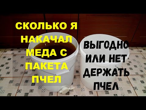 Видео: СКОЛЬКО МЕДА ПРИНЕС ПЧЕЛОПАКЕТ ЗА СЕЗОН | ВЫГОДНО ЛИ ДЕРЖАТЬ ПЧЕЛ | Пчеловодство для начинающих