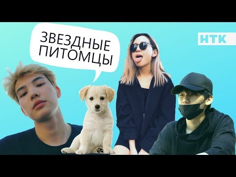 Видео: Звездные питомцы: ослы, хомяки, кошки, мертвые и раненые собаки