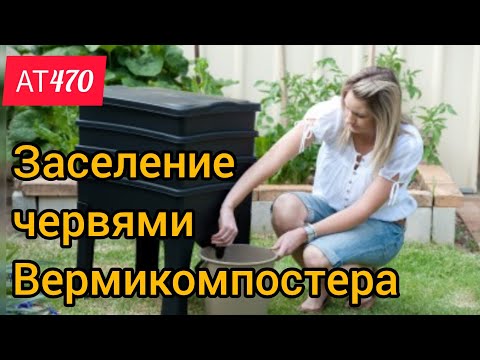 Видео: АТ470 ИНСТРУКЦИЯ заселения червями вермикомпостера от Ткаченко АС ат470