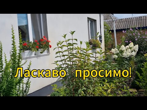 Видео: Ласкаво просимо!