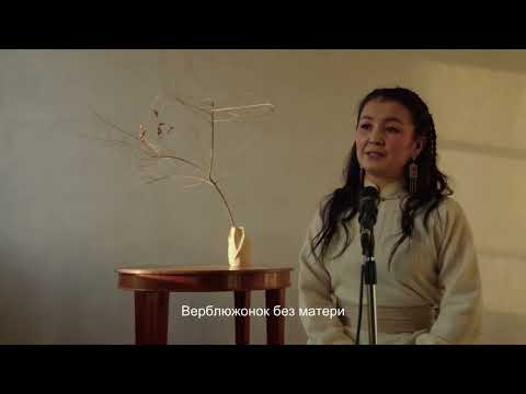 Видео: Үншэн сагаан ботогон - Ганцэцэг Болд GANA