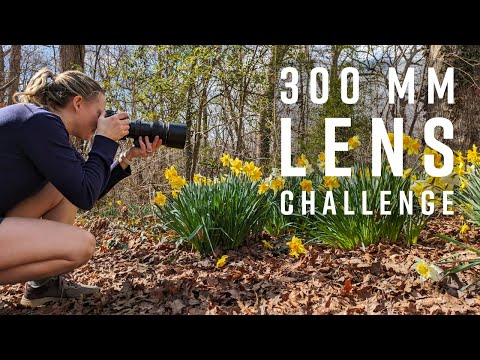 Видео: Объектив с фиксированным фокусным расстоянием 300 мм — задача для фотографов природы с объективом...