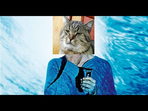 Видео: Что лучше станок или электробритва