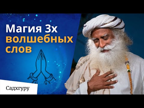 Видео: Отбросьте мораль и просто примите жизнь
