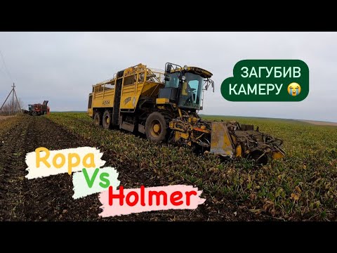 Видео: Копка буряку на два комбайни‼️Ropa vs Holmer‼️