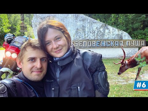 Видео: Мотопутешествие вокруг Беларуси: Беловежская пуща - Route P98 #6