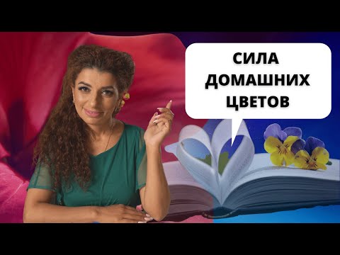 Видео: Сила домашних цветов