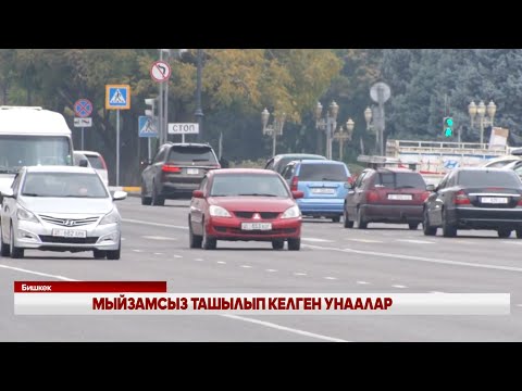 Видео: МЫЙЗАМСЫЗ ТАШЫЛЫП КЕЛГЕН УНААЛАР