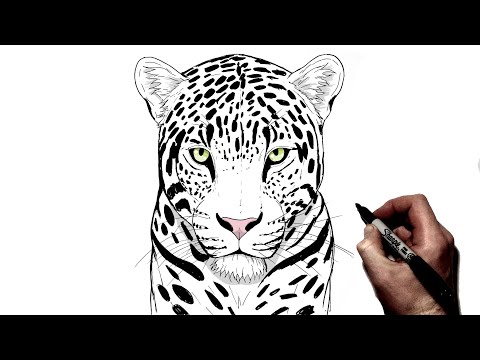 Видео: Как нарисовать леопарда | Шаг за шагом |